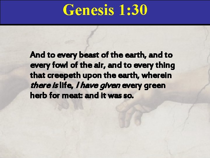 Genesis 1: 30 And to every beast of the earth, and to every fowl