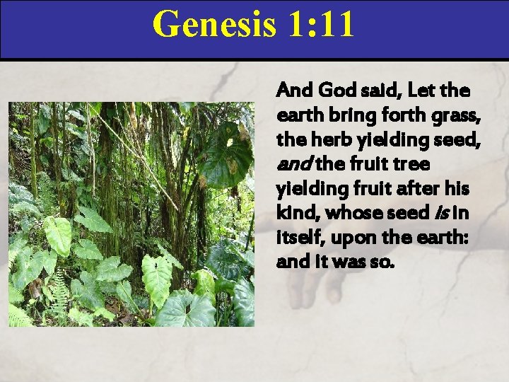 Genesis 1: 11 And God said, Let the earth bring forth grass, the herb