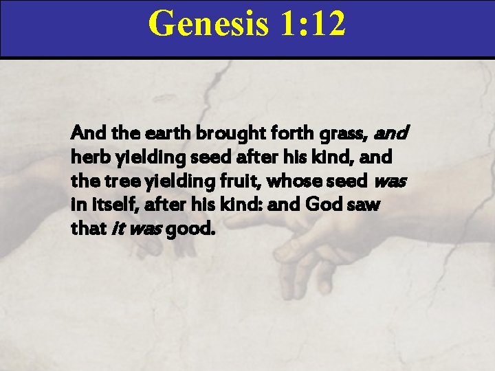 Genesis 1: 12 And the earth brought forth grass, and herb yielding seed after