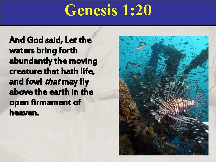 Genesis 1: 20 And God said, Let the waters bring forth abundantly the moving