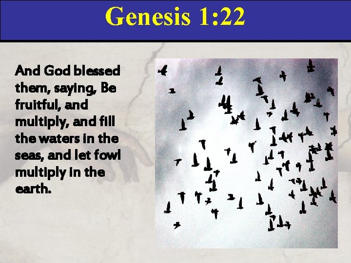 Genesis 1: 22 And God blessed them, saying, Be fruitful, and multiply, and fill