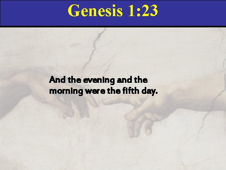 Genesis 1: 23 And the evening and the morning were the fifth day. 