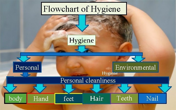 Flowchart of Hygiene Personal Environmental Hygiene Personal cleanliness body Hand feet Hair Teeth Nail