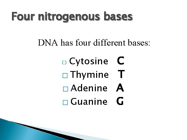 Four nitrogenous bases DNA has four different bases: Cytosine � Thymine � Adenine �