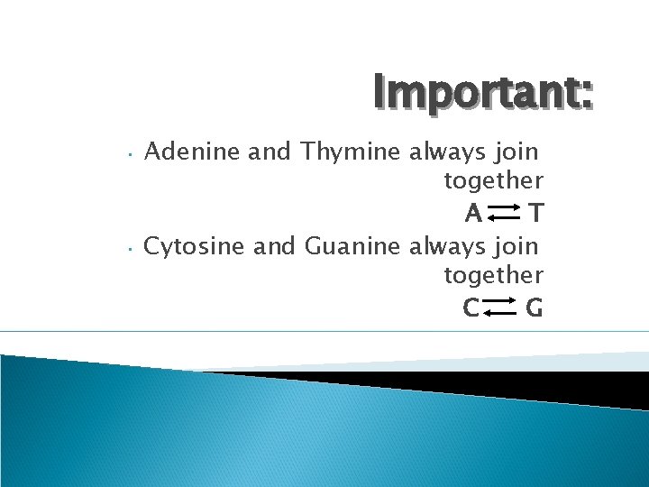 Important: • • Adenine and Thymine always join together A T Cytosine and Guanine