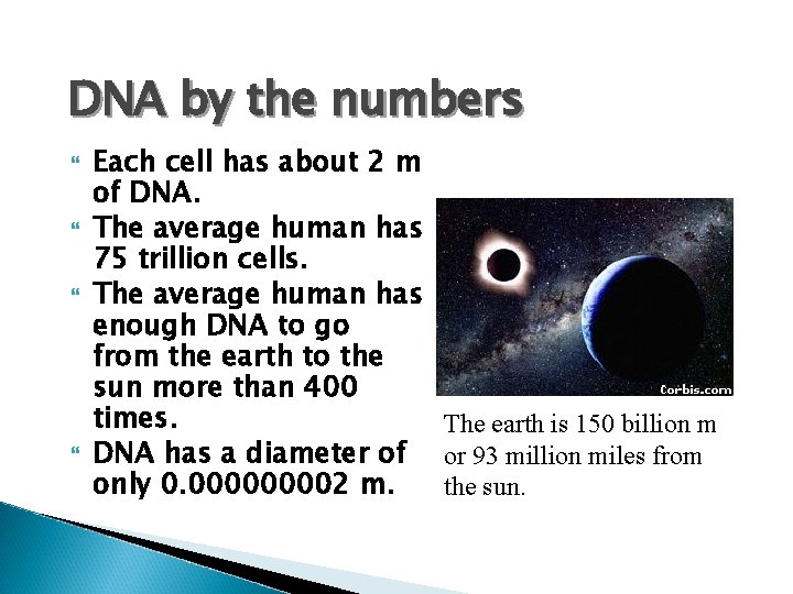 DNA by the numbers Each cell has about 2 m of DNA. The average