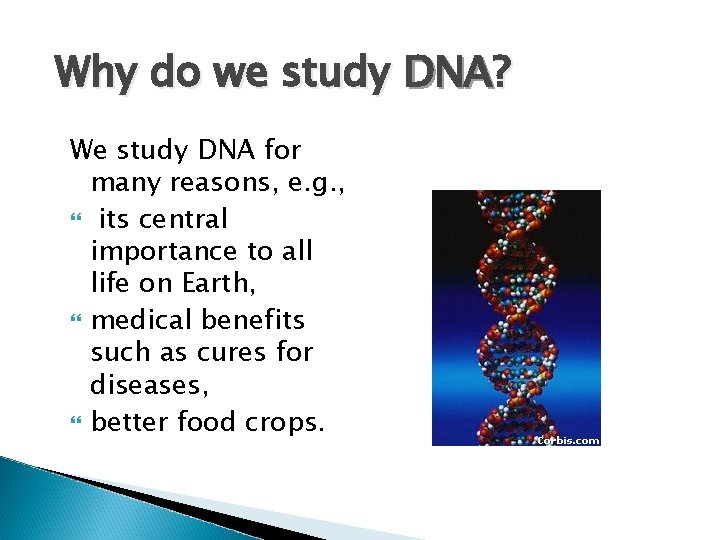 Why do we study DNA? We study DNA for many reasons, e. g. ,