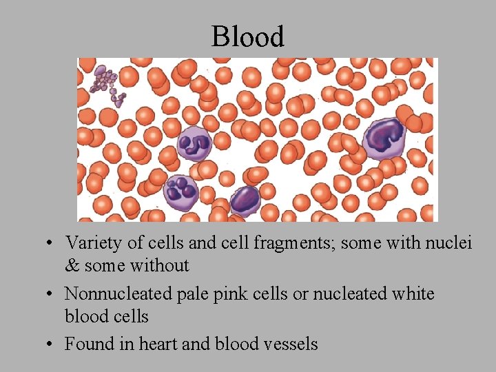 Blood • Variety of cells and cell fragments; some with nuclei & some without