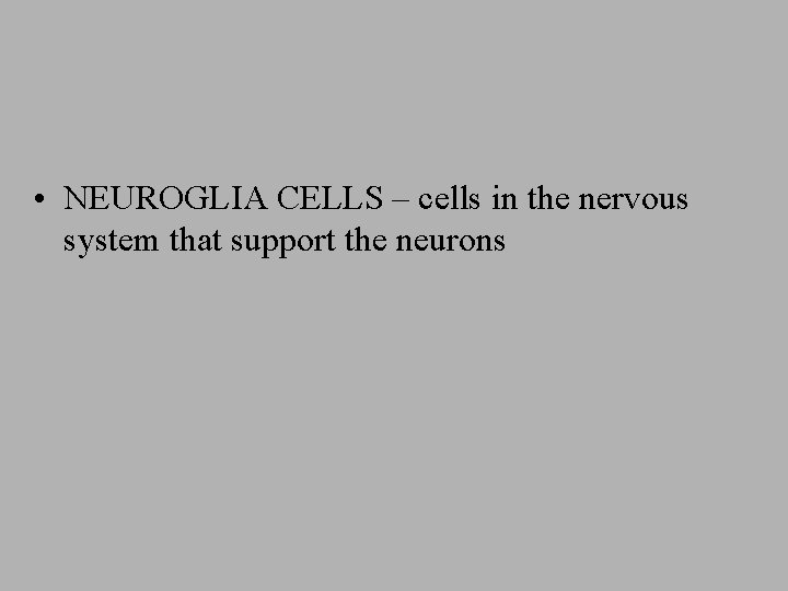  • NEUROGLIA CELLS – cells in the nervous system that support the neurons