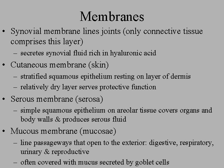 Membranes • Synovial membrane lines joints (only connective tissue comprises this layer) – secretes