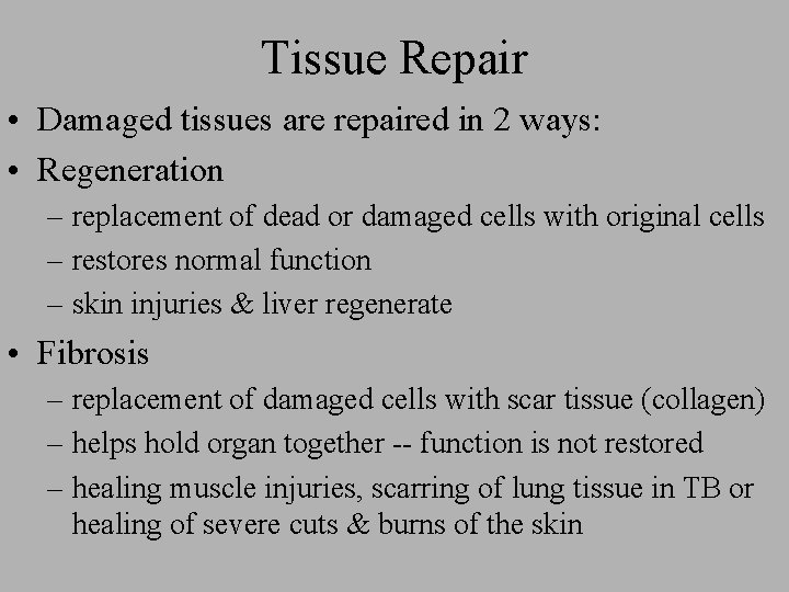 Tissue Repair • Damaged tissues are repaired in 2 ways: • Regeneration – replacement