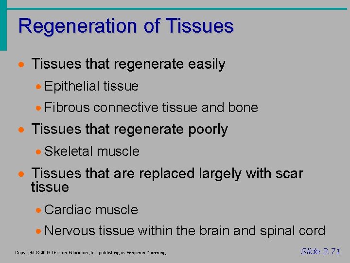 Regeneration of Tissues · Tissues that regenerate easily · Epithelial tissue · Fibrous connective