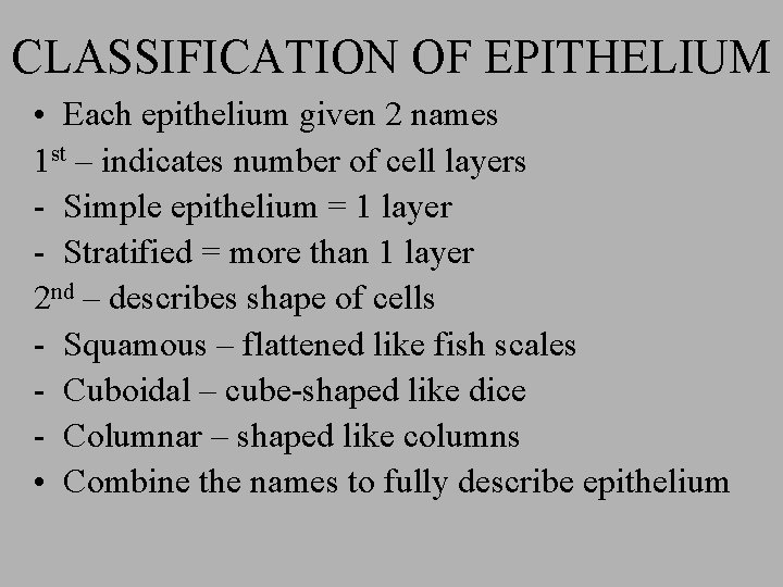 CLASSIFICATION OF EPITHELIUM • Each epithelium given 2 names 1 st – indicates number