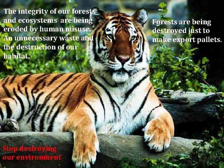 The integrity of our forests and ecosystems are being eroded by human misuse. An