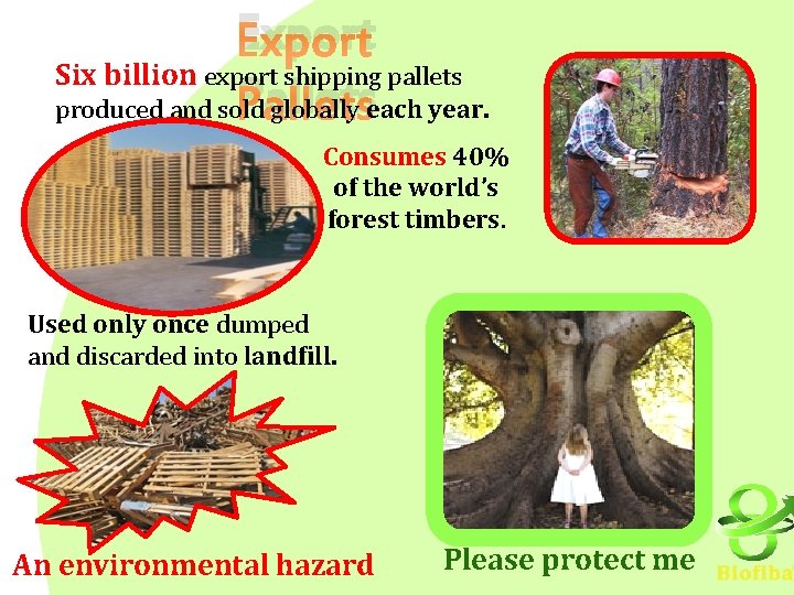 Export Six billion export shipping pallets Pallets produced and sold globally each year. Consumes
