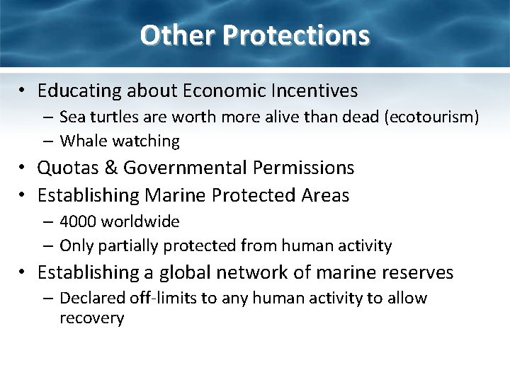 Other Protections • Educating about Economic Incentives – Sea turtles are worth more alive Other Protections • Educating about Economic Incentives – Sea turtles are worth more alive