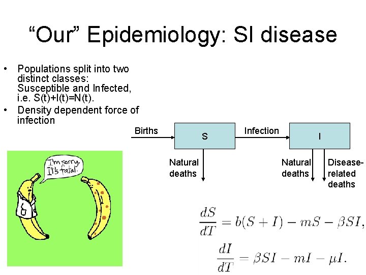 “Our” Epidemiology: SI disease • Populations split into two distinct classes: Susceptible and Infected,
