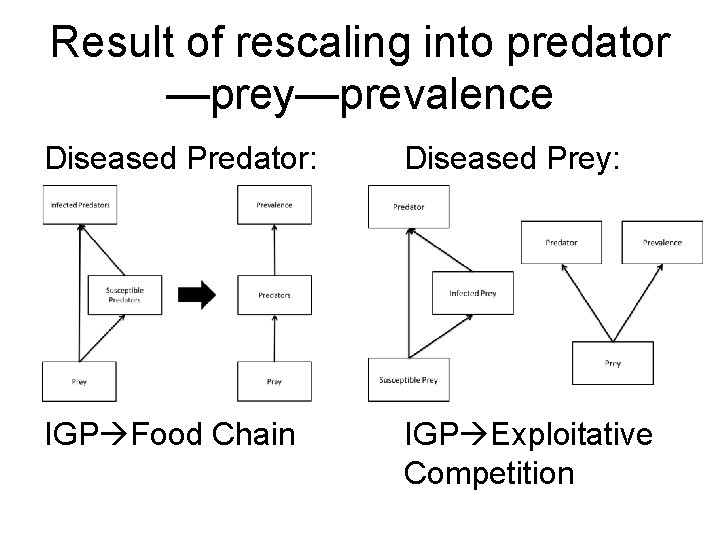 Result of rescaling into predator —prey—prevalence Diseased Predator: Diseased Prey: IGP Food Chain IGP