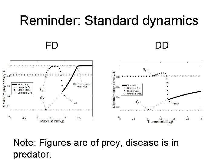 Reminder: Standard dynamics FD DD Note: Figures are of prey, disease is in predator.