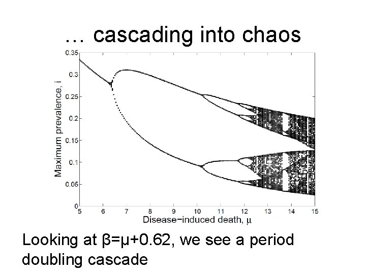 … cascading into chaos Looking at β=µ+0. 62, we see a period doubling cascade
