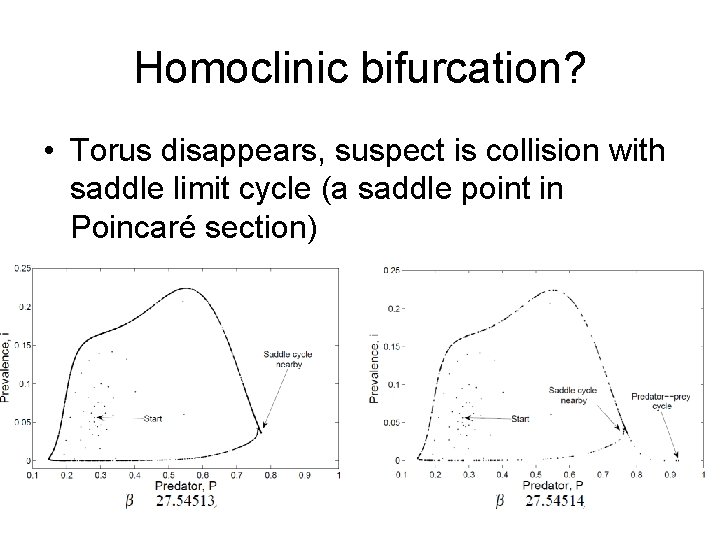 Homoclinic bifurcation? • Torus disappears, suspect is collision with saddle limit cycle (a saddle