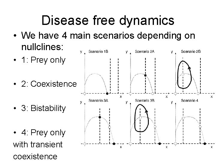 Disease free dynamics • We have 4 main scenarios depending on nullclines: • 1: