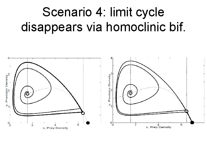 Scenario 4: limit cycle disappears via homoclinic bif. 