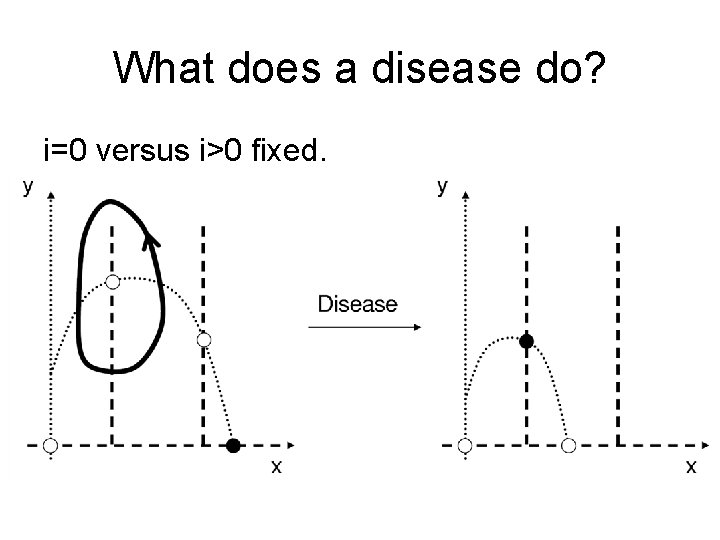 What does a disease do? i=0 versus i>0 fixed. 