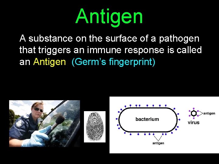 Antigen A substance on the surface of a pathogen that triggers an immune response