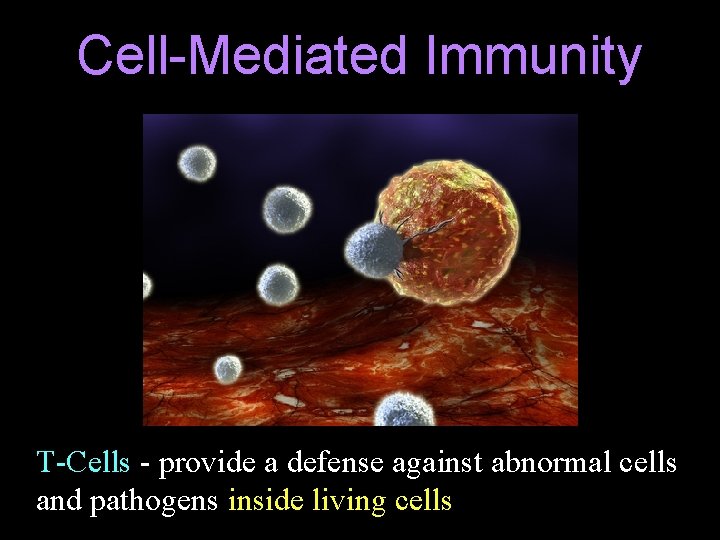 Cell-Mediated Immunity T-Cells - provide a defense against abnormal cells and pathogens inside living