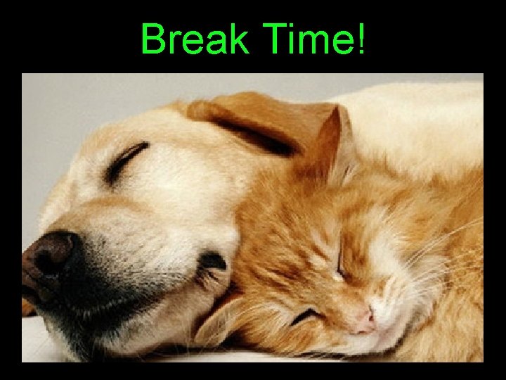 Break Time! 