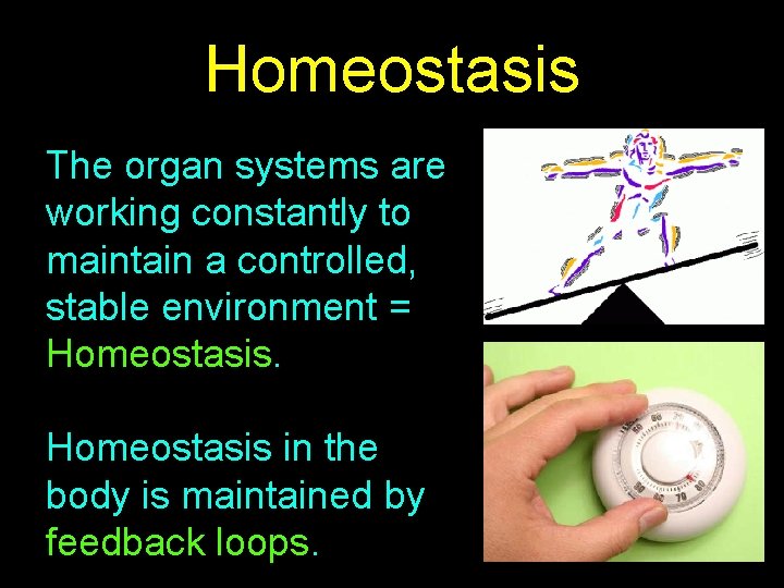 Homeostasis The organ systems are working constantly to maintain a controlled, stable environment =