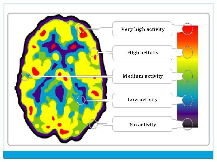 Very high activity High activity Medium activity Low activity No activity 