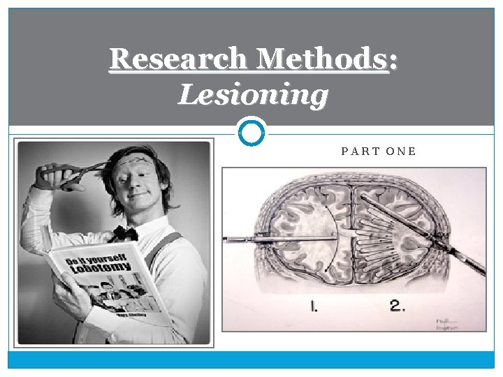 Research Methods: Lesioning PART ONE 