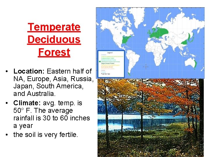 Temperate Deciduous Forest • Location: Eastern half of NA, Europe, Asia, Russia, Japan, South