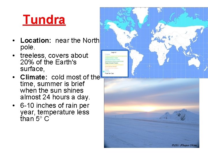 Tundra • Location: near the North pole. • treeless, covers about 20% of the