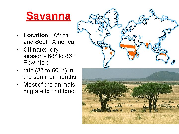 Savanna • Location: Africa and South America • Climate: dry season - 68° to