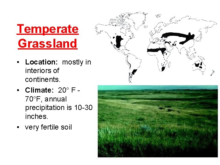 Temperate Grassland • Location: mostly in interiors of continents. • Climate: 20° F 70°F,