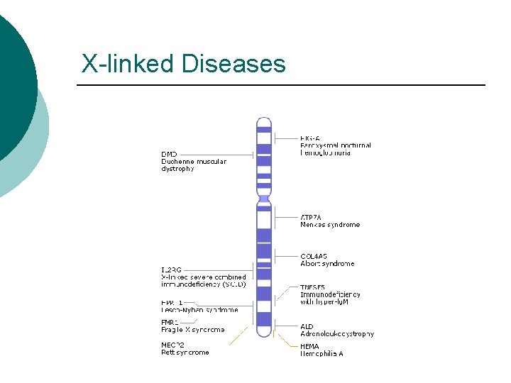 X-linked Diseases 