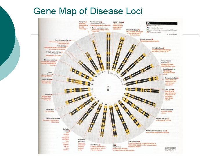 Gene Map of Disease Loci 