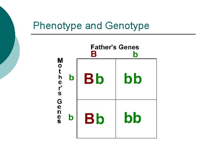 Phenotype and Genotype 