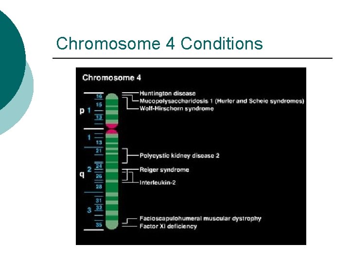 Chromosome 4 Conditions 