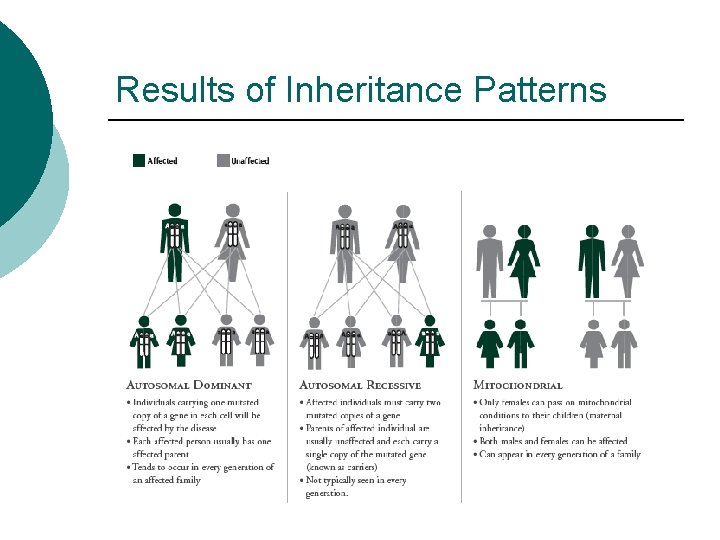 Results of Inheritance Patterns 