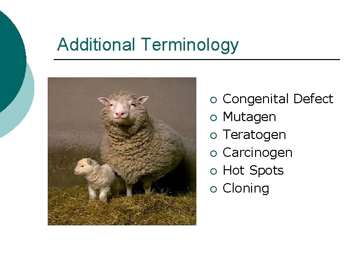 Additional Terminology ¡ ¡ ¡ Congenital Defect Mutagen Teratogen Carcinogen Hot Spots Cloning 