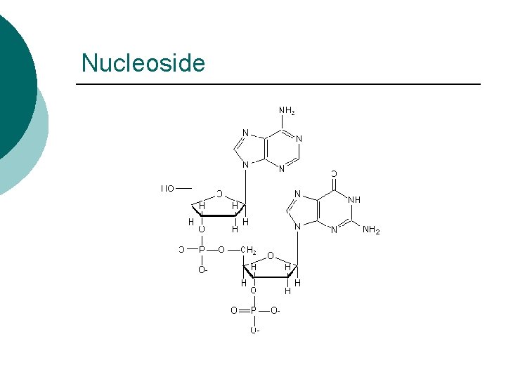 Nucleoside 