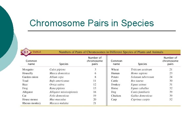 Chromosome Pairs in Species 