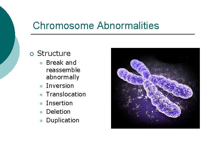 Chromosome Abnormalities ¡ Structure l l l Break and reassemble abnormally Inversion Translocation Insertion