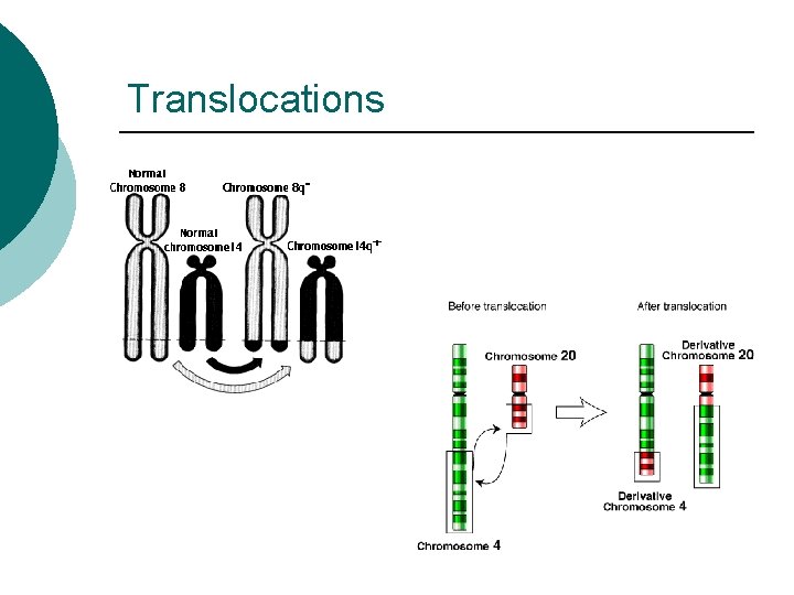 Translocations 