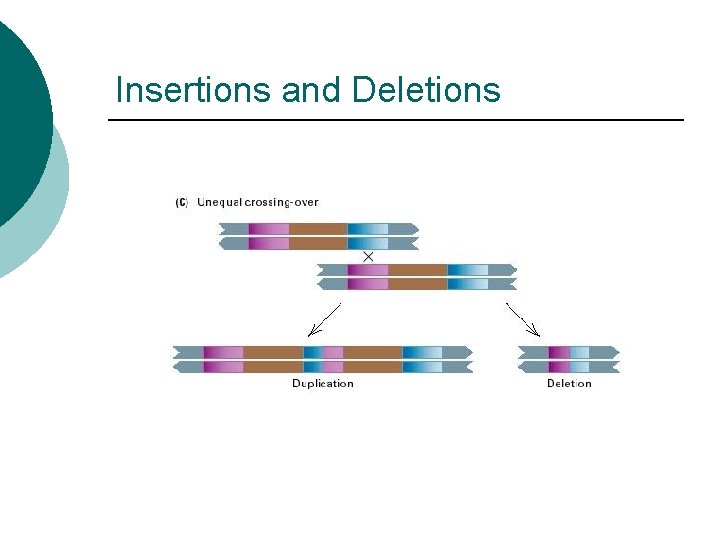 Insertions and Deletions 
