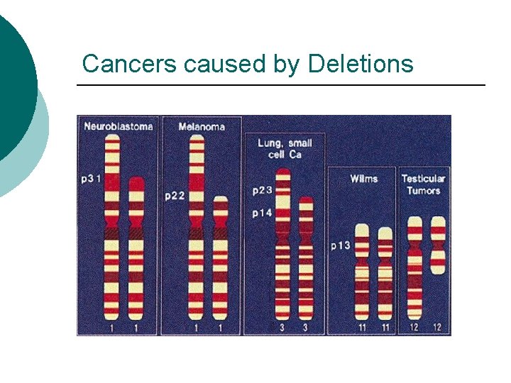 Cancers caused by Deletions 